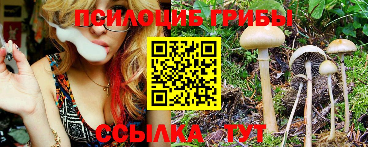 Псилоцибиновые грибы GOLDEN TEACHER Куйбышев