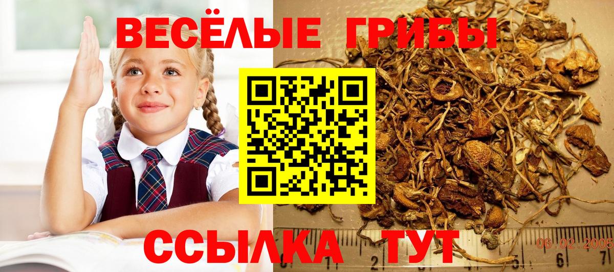 Куйбышев  Галлюциногенные грибы мухоморы  Вход с VPN 